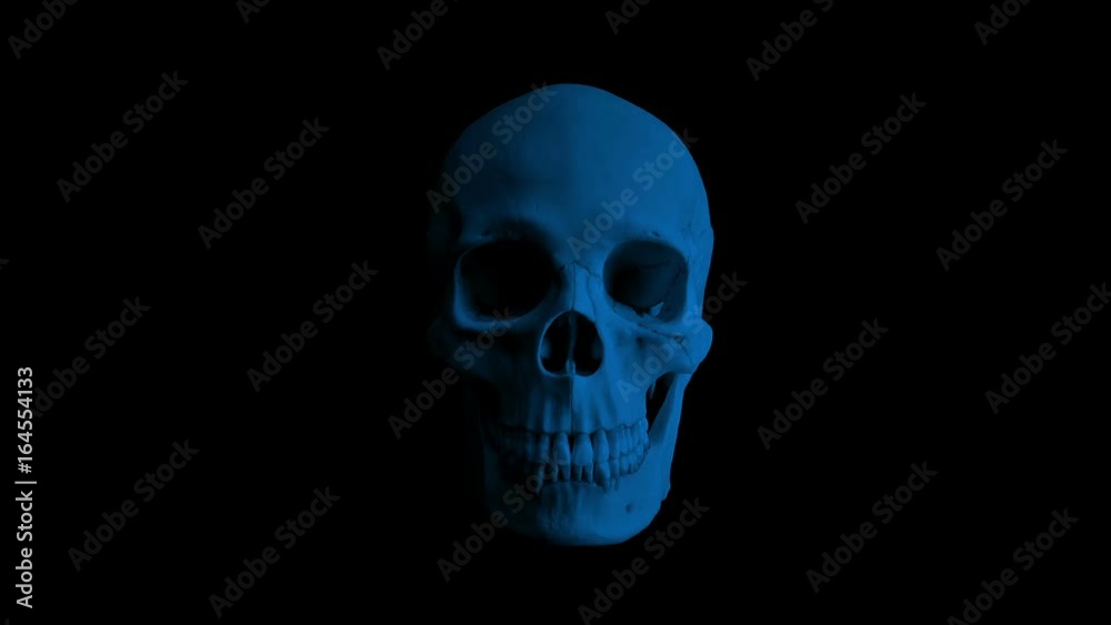 Skull Opens Mouth Eats Camera - 4 Versions Skull Opens Mouth Eats Camera - 4 Versions