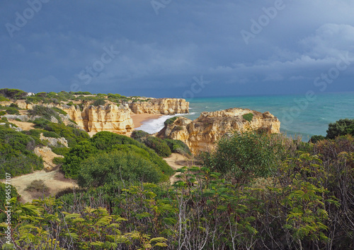 sea shore with beautiful sandstone cliffs green vagetation photo