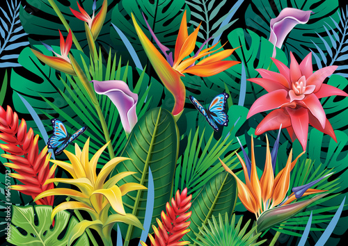 Background with exotic tropical flowers