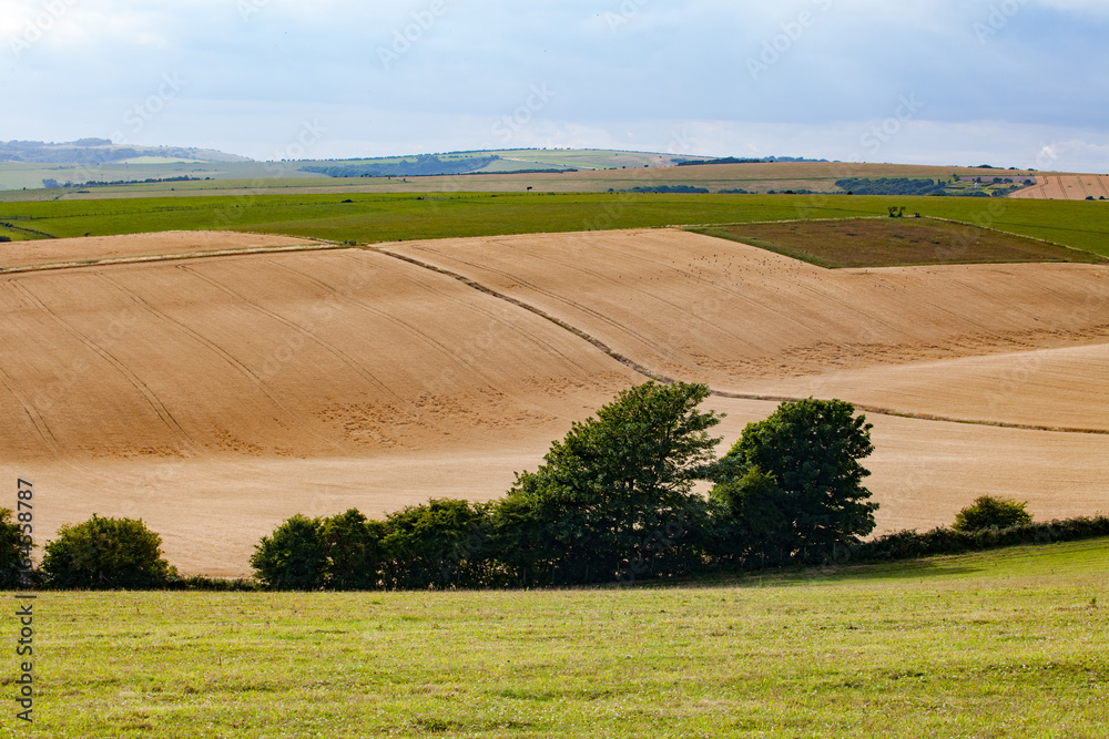 England: South Downs Countryside in Summertime