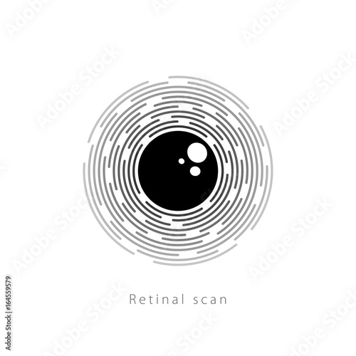 Retina scan. Biometric recognition system
