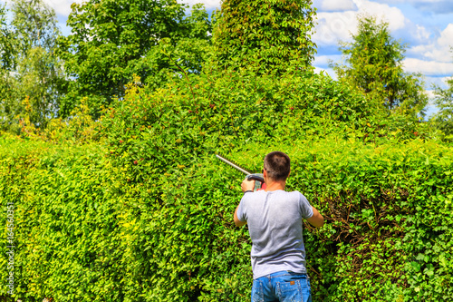 gardener cuts a Bush with electric hedge trimmers
