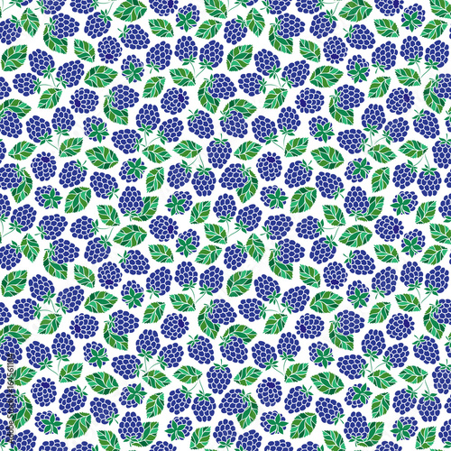 Seamless Pattern of Blackberry