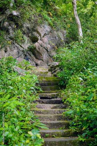 Stairway going up to the buddhist temple in jungle forest