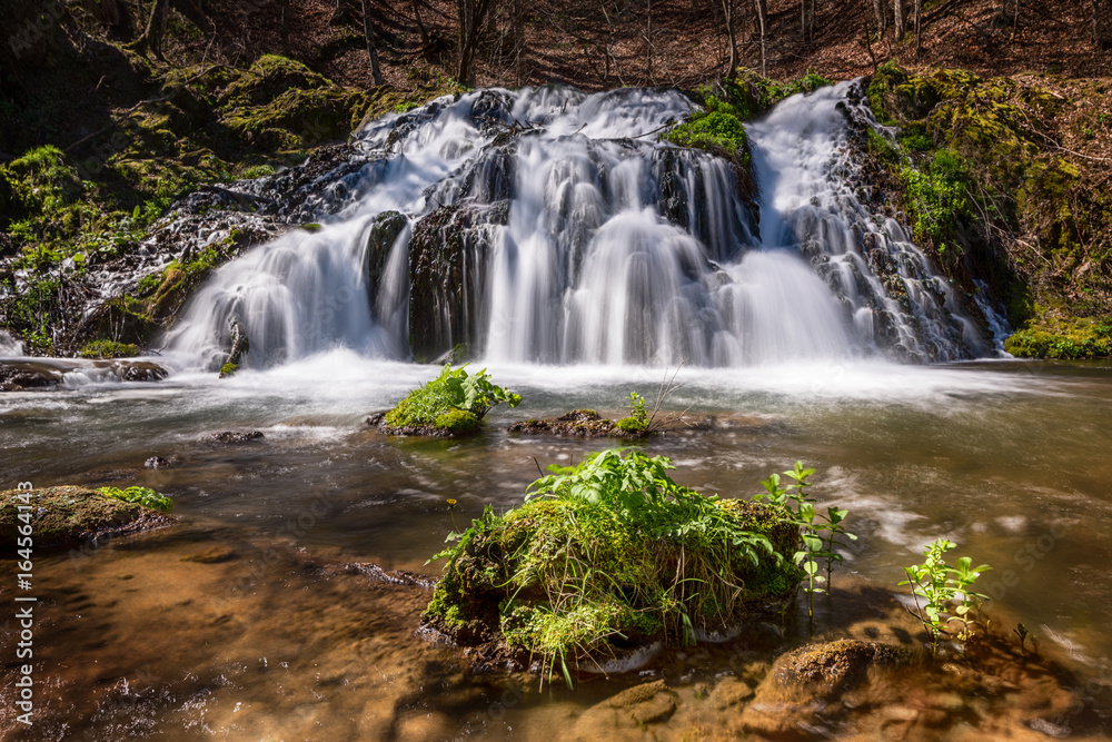 Fototapeta premium Forest waterfall. Long exposure.