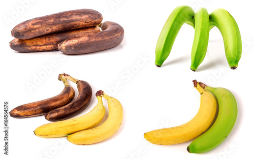 Immature, mature and overripe bananas on white background. Set or collection