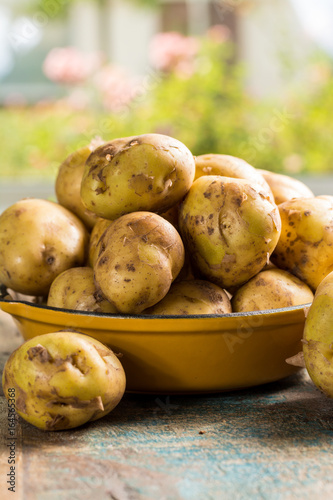 New harvest  fresh potatoes  ready to cook