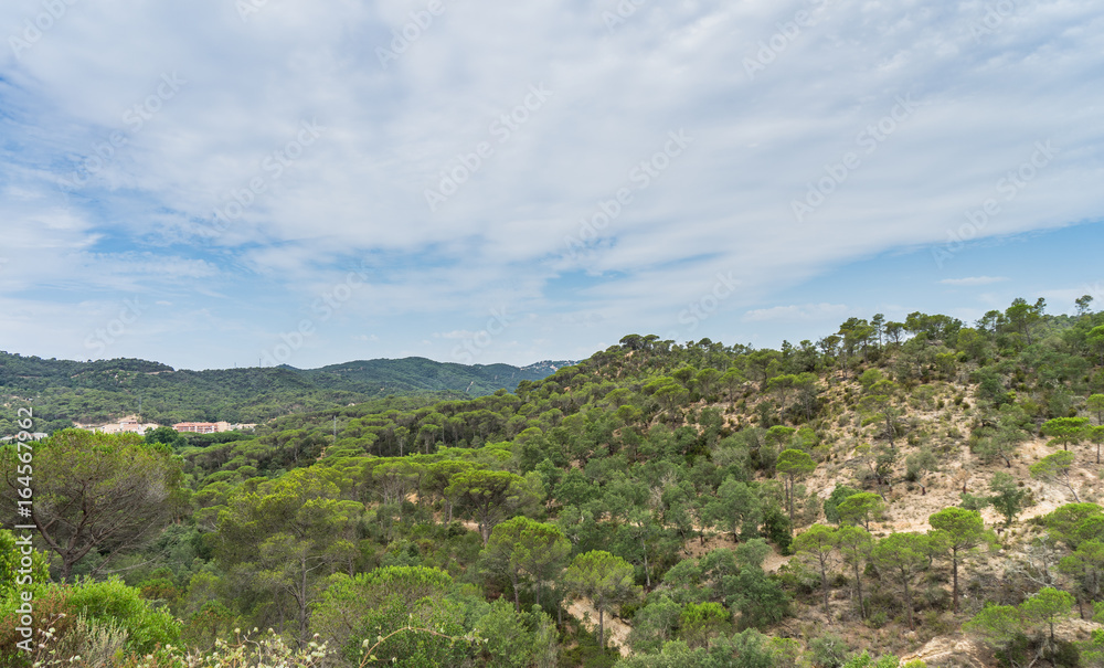 Beautiful green landscape in Spain