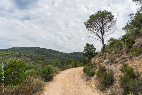Beautiful green landscape in Spain