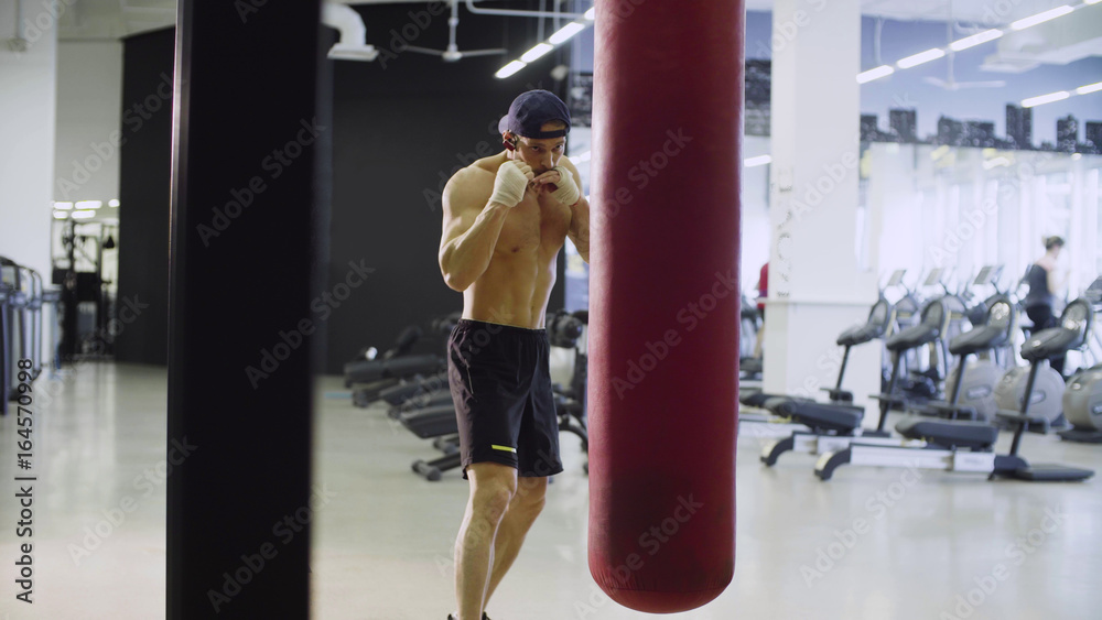 Boxer training punching bag