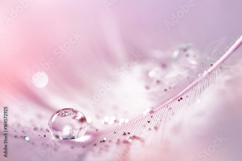 Feather pink bird with sparkles and transparent drop of dew water sparkles in the rays of bright light close-up macro. Glamorous sophisticated airy artistic image on a soft blurred background.