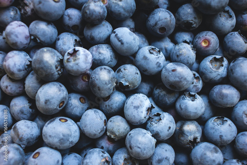 Heidelbeeren photo