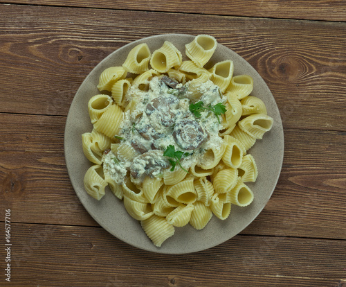 Italian pasta gomiti with mushroom sauce. photo