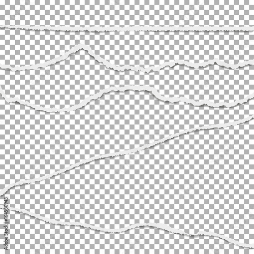 Torn paper vector collection. Broken paper with ripped edges, torn banner.