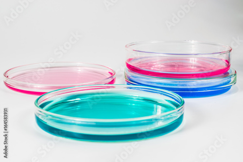 color liquid in petri dishes. laboratory, science and clinic background
