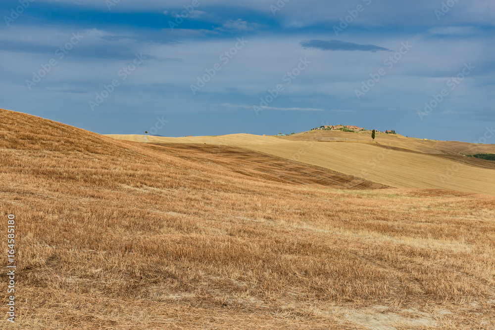 Panorama ohills in Tuscany Italy, in val d' Orcia, province of Siena