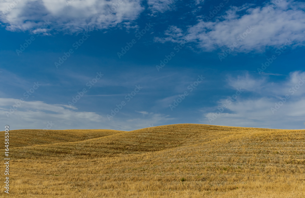 Panorama ohills in Tuscany Italy, in val d' Orcia, province of Siena