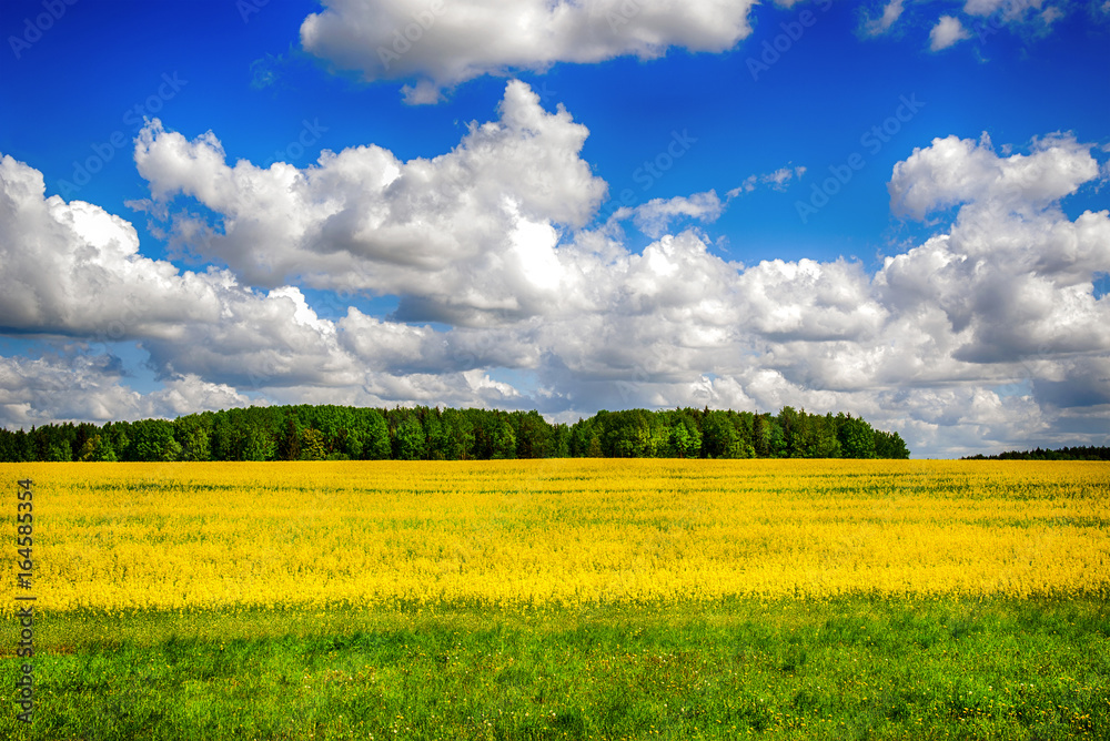 custom made wallpaper toronto digitalBeautiful nature landscape