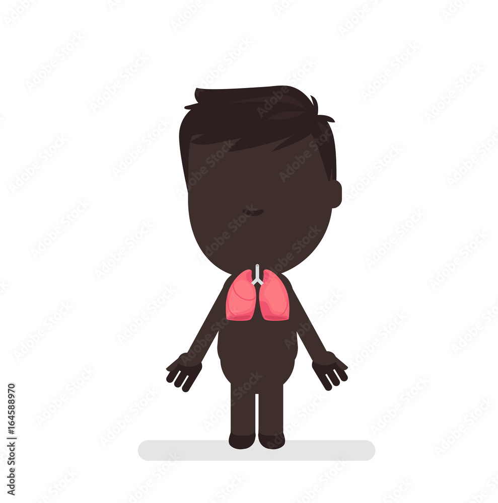 anatomy-isolated-10 anatomy-isolated-10