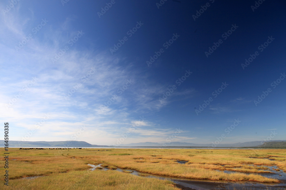 Lake Nukuru Nature Reserve - Kenya