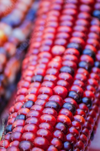 autumn with red and corn leaves