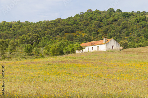 Farm house with  flowers and pine trees in Cercal photo