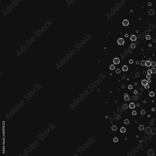 Soap bubbles. Right semicircle with soap bubbles on black background. Vector illustration.