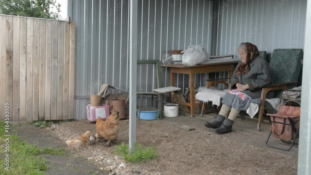 Old grandmother looks after the chicken and chickens. Woman under a canopy sitting on a chair Old grandmother looks after the chicken and chickens. Woman under a canopy sitting on a chair