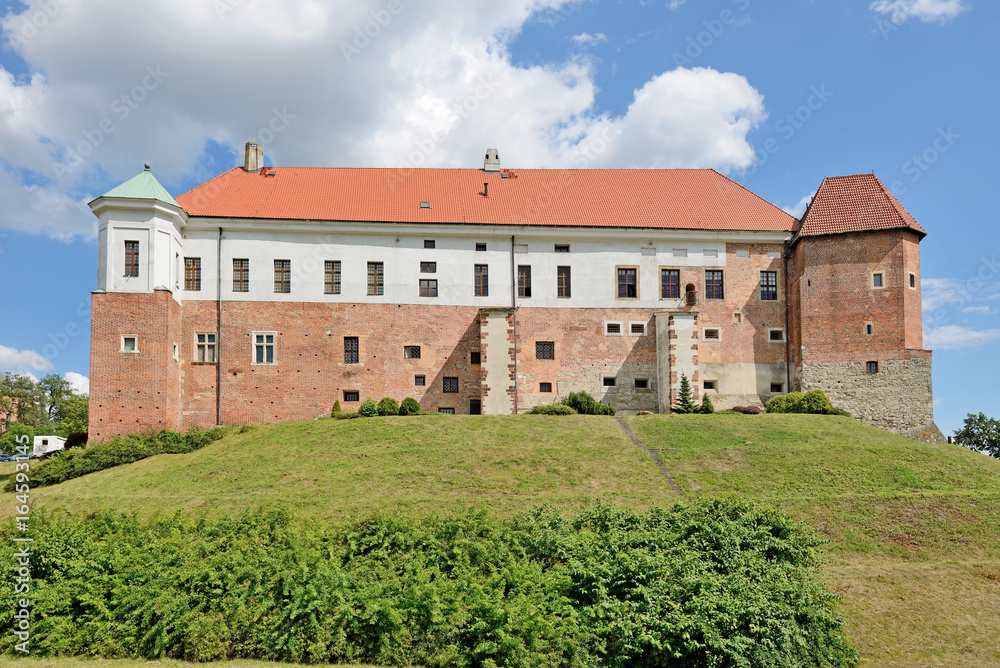 Fototapeta premium Zamek w Sandomierzu.