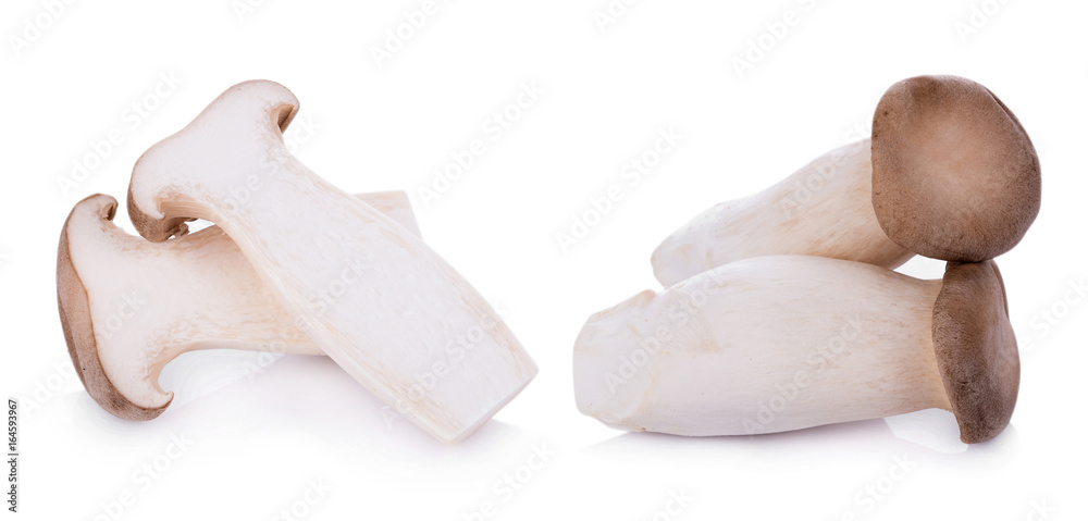 Fototapeta premium King oyster mushroom Pleurotus eryngii on white background