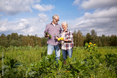 happy senior couple on squash garden bed at farm