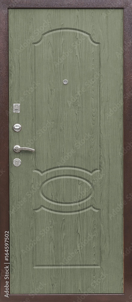 Fototapeta premium Entrance door (Layout of a colored metal door)