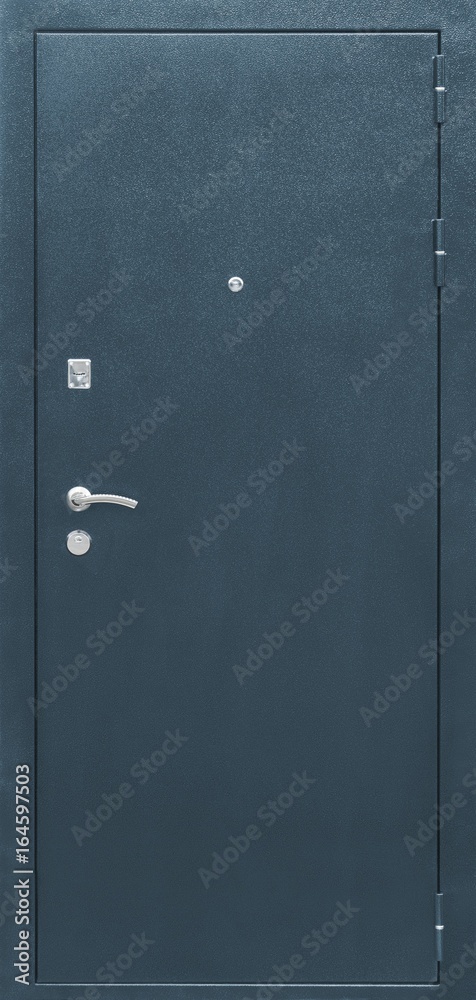 Fototapeta premium Entrance door (Layout of a colored metal door)