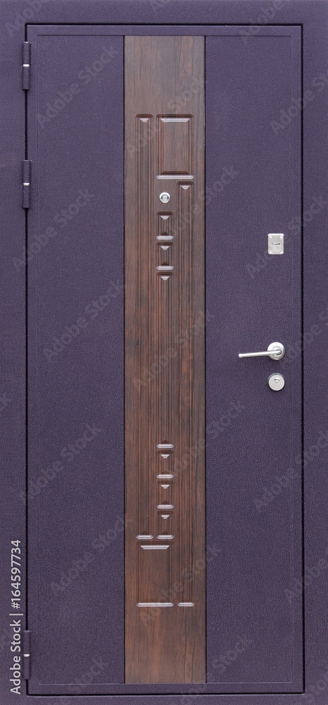 Fototapeta premium Entrance door (Layout of a colored metal door)