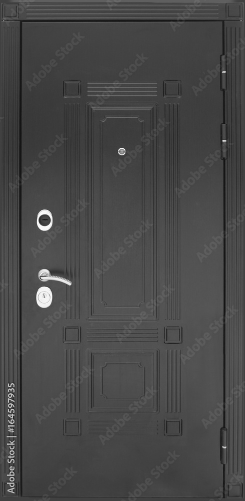 Fototapeta premium Entrance door (Layout of a colored metal door)