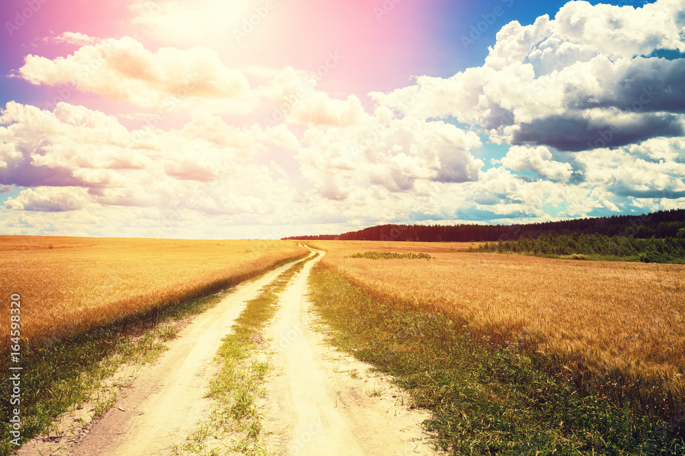 Beautiful sky over a dirt road in a wheat field