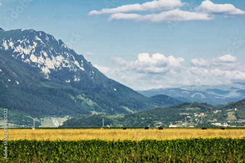 Rural mountain landscape