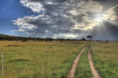 Safari Park - Maasai Mara - Kenya