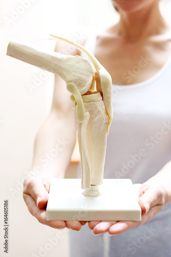  Anatomia kolana. ortopeda pokazuje anatomiczny model stawu kolanowego 