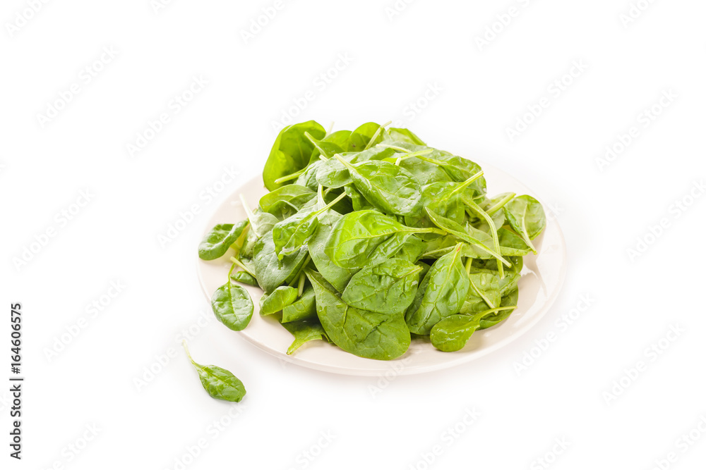 A fresh green spinach leaf isolated against a white background A fresh green spinach leaf isolated against a white background