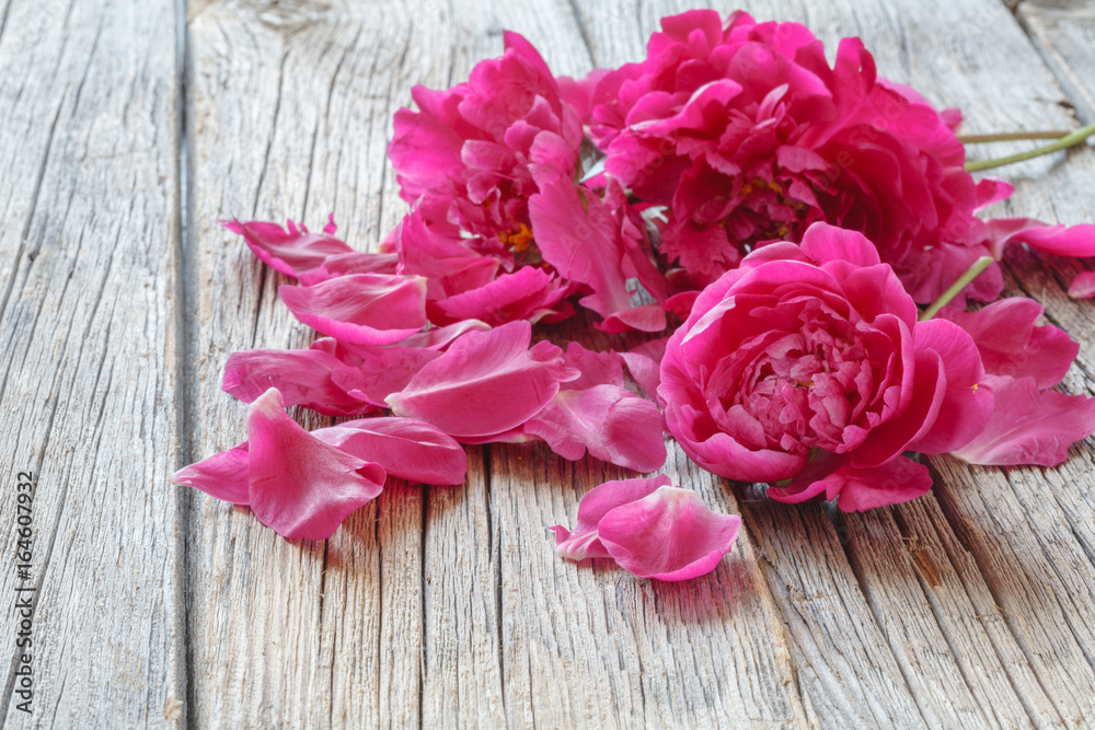 beautiful fresh peonies on wooden surface beautiful fresh peonies on wooden surface