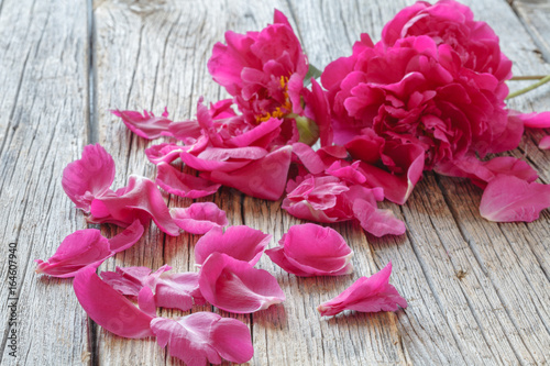 pink peony flower on wooden background