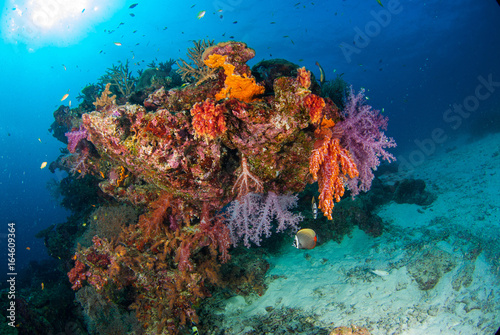 Underwater coral underwater with bright color fish.Similan,North Andaman Sea,Thailand