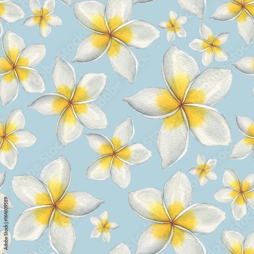  Hawaiian flowers. Seamless floral pattern. Watercolor illustration. Hand-drawing