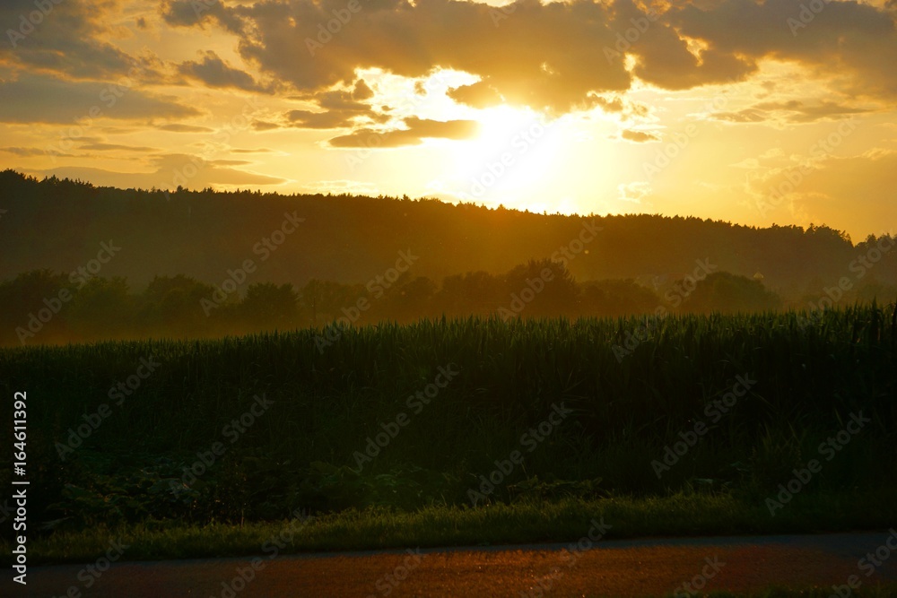Fototapeta premium Sonnenuntergang