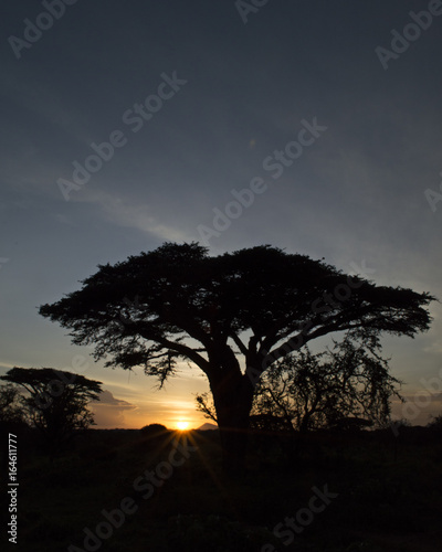 Tanzania Sunset