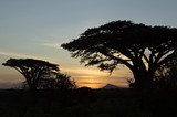 Massai Steppe Sunset