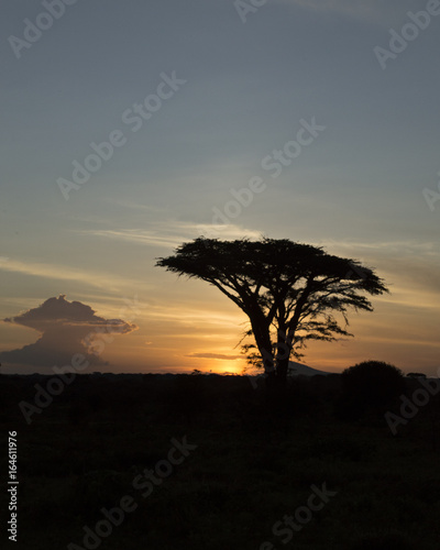 Wilderness Sunset