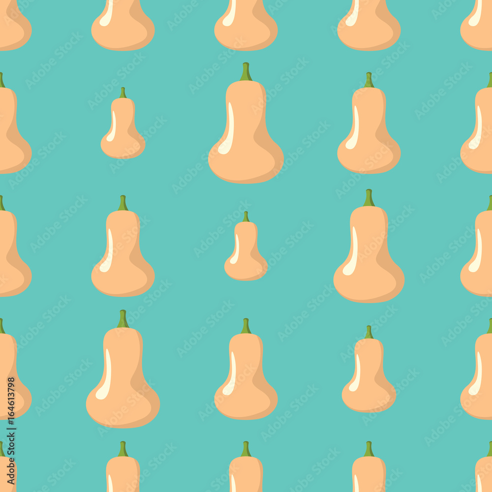 Squash vector seamless pattern. Cartoon vegetable stylish texture. Repeating squash vegetables seamless pattern background for eco bio vegetables design and web Squash vector seamless pattern. Cartoon vegetable stylish texture. Repeating squash vegetables seamless pattern background for eco bio vegetables design and web