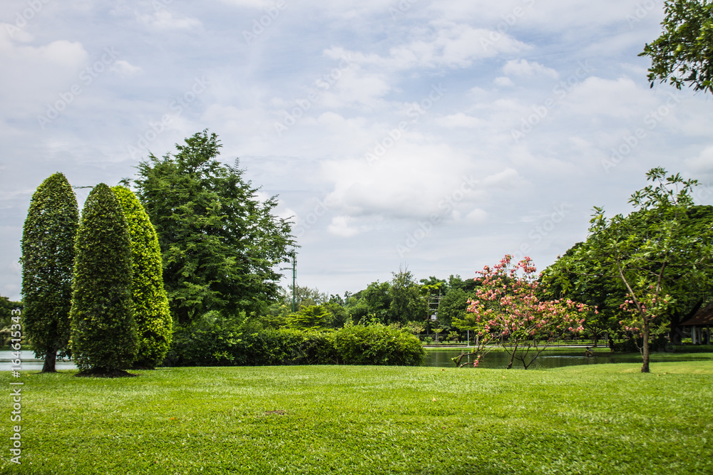 The landscape in the garden is light green leaves are part of nature look and feel fresh.